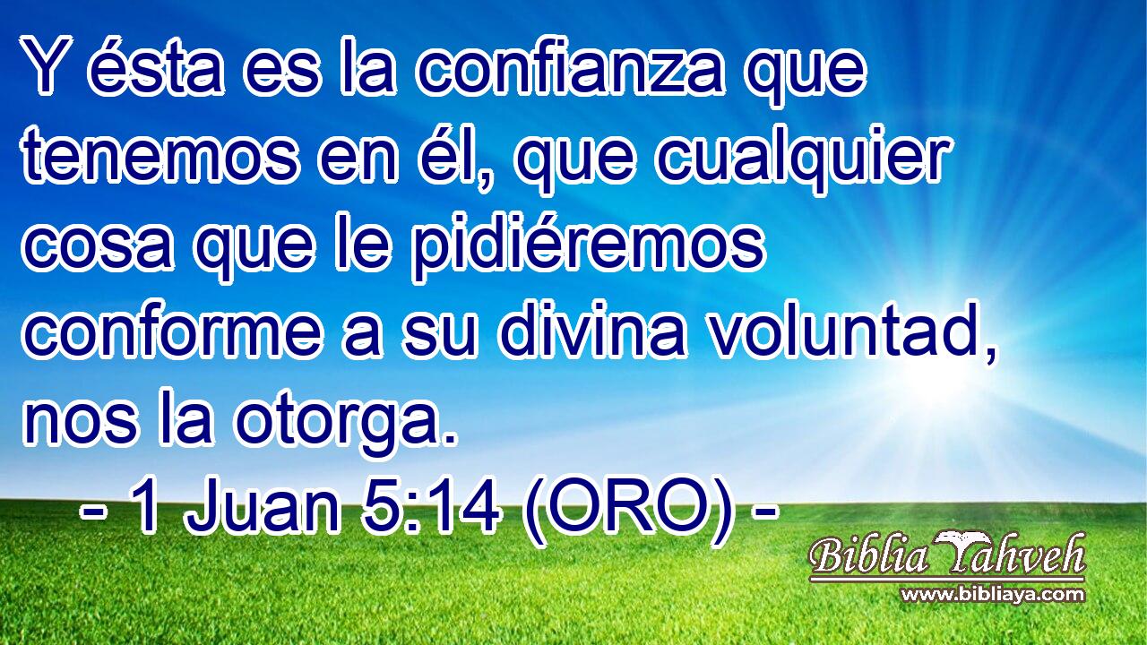  Y ésta es la confianza que tenemos en él, que cualquier cosa que le pidiéremos conforme a su divina voluntad, nos la otorga. 