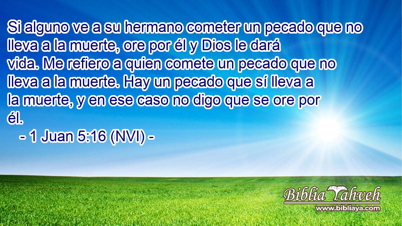  Si alguno ve a su hermano cometer un pecado que no lleva a la muerte, ore por él y Dios le dará vida. Me refiero a quien comete un pecado que no lleva a la muerte. Hay un pecado que sí lleva a la muerte, y en ese caso no digo que se ore por él. 