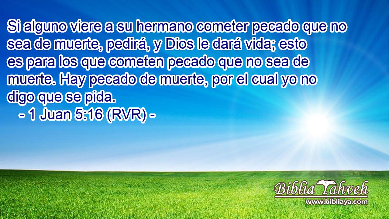 Si alguno viere a su hermano cometer pecado que no sea de muerte, pedirá, y Dios le dará vida; esto es para los que cometen pecado que no sea de muerte. Hay pecado de muerte, por el cual yo no digo que se pida.