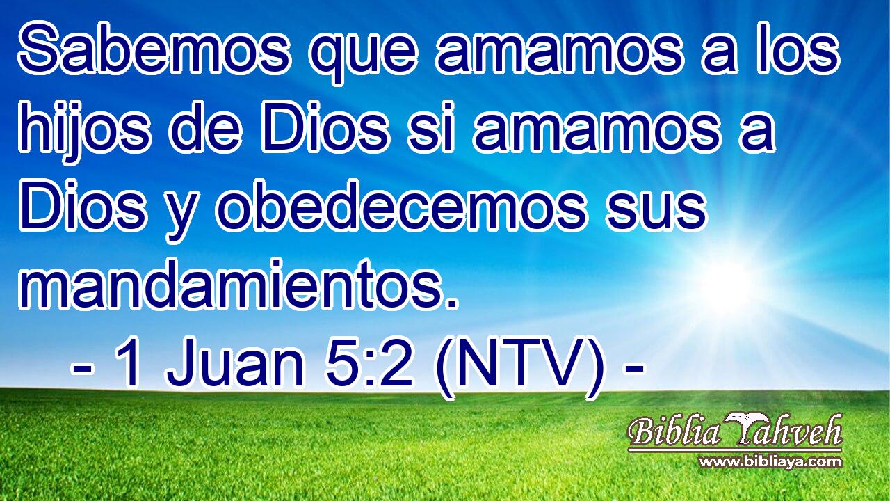 Sabemos que amamos a los hijos de Dios si amamos a Dios y obedecemos sus mandamientos.