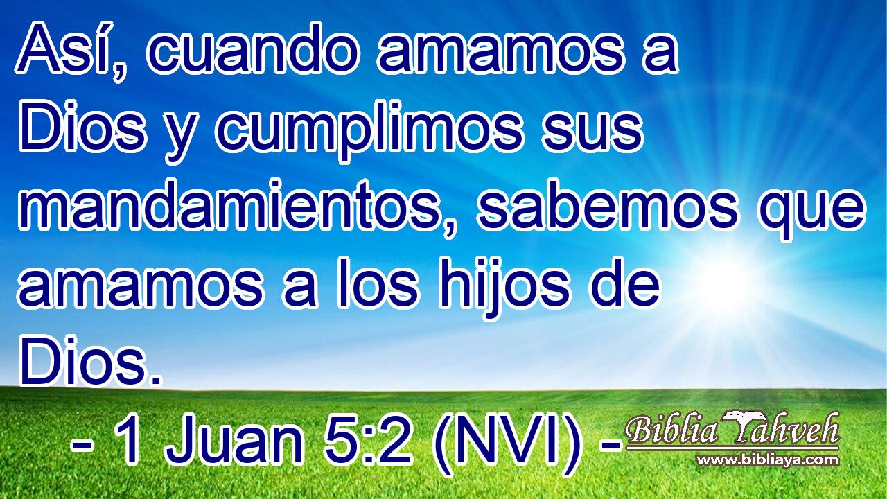  Así, cuando amamos a Dios y cumplimos sus mandamientos, sabemos que amamos a los hijos de Dios. 