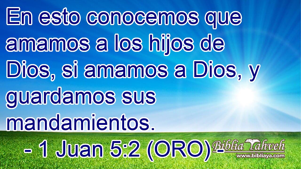  En esto conocemos que amamos a los hijos de Dios, si amamos a Dios, y guardamos sus mandamientos. 
