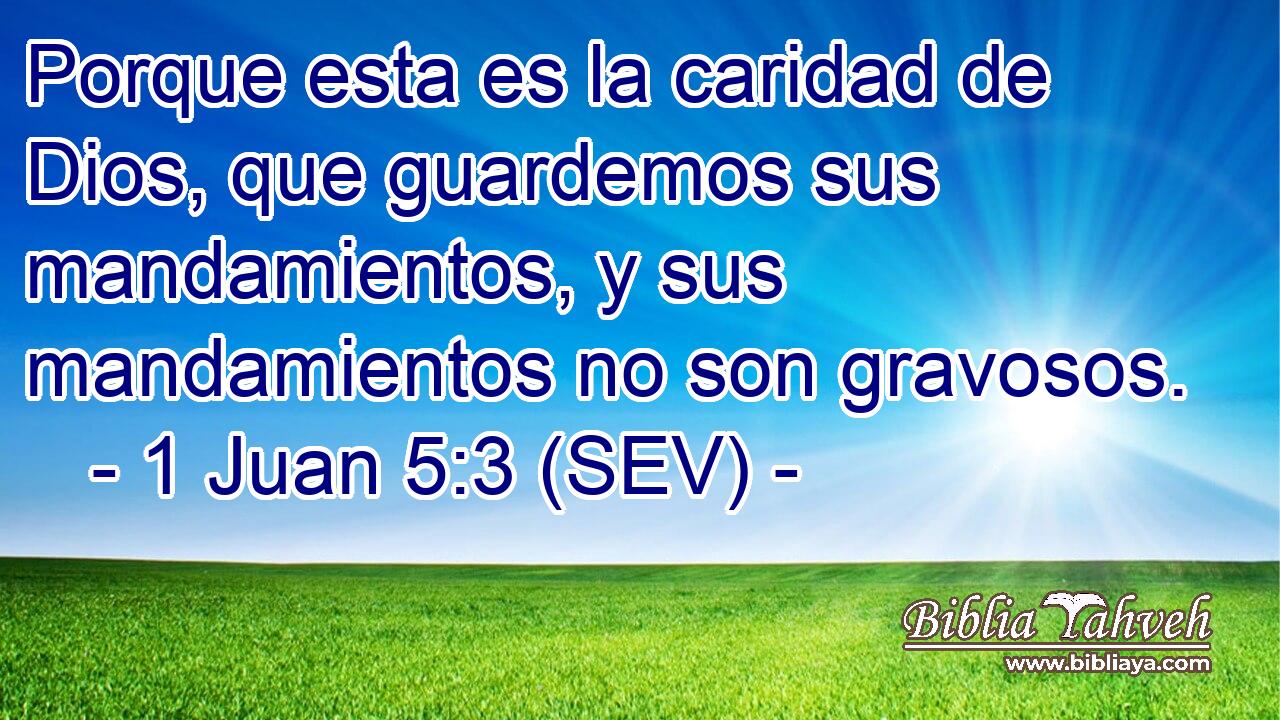 Porque esta es la caridad de Dios, que guardemos sus mandamientos, y sus mandamientos no son gravosos.