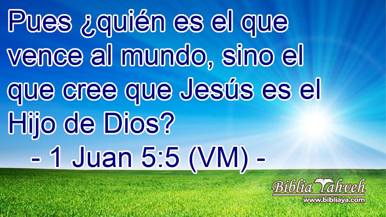  Pues ¿quién es el que vence al mundo, sino el que cree que Jesús es el Hijo de Dios? 