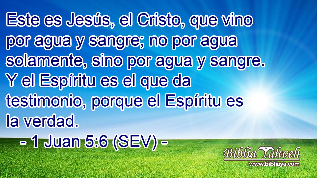 Este es Jesús, el Cristo, que vino por agua y sangre; no por agua solamente, sino por agua y sangre. Y el Espíritu es el que da testimonio, porque el Espíritu es la verdad.