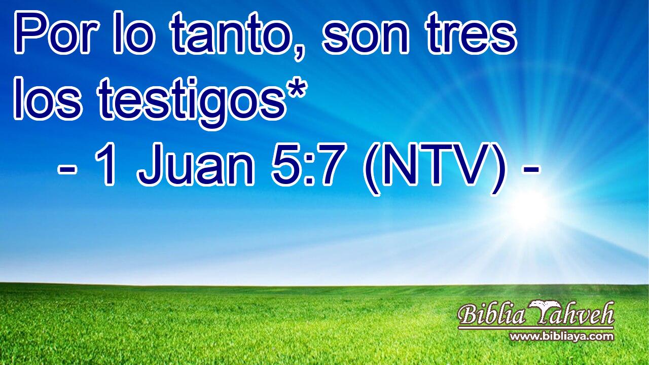 Por lo tanto, son tres los testigos*