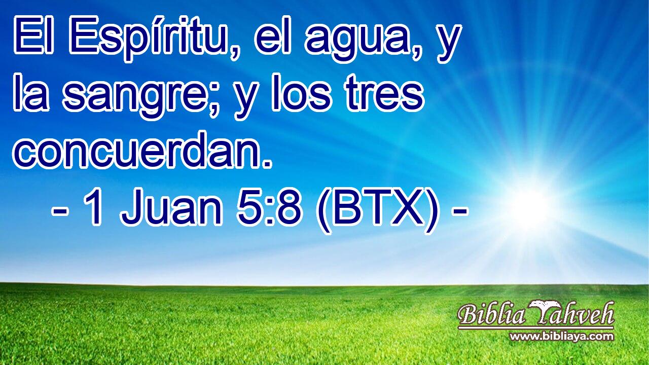 El Espíritu, el agua, y la sangre; y los tres concuerdan.