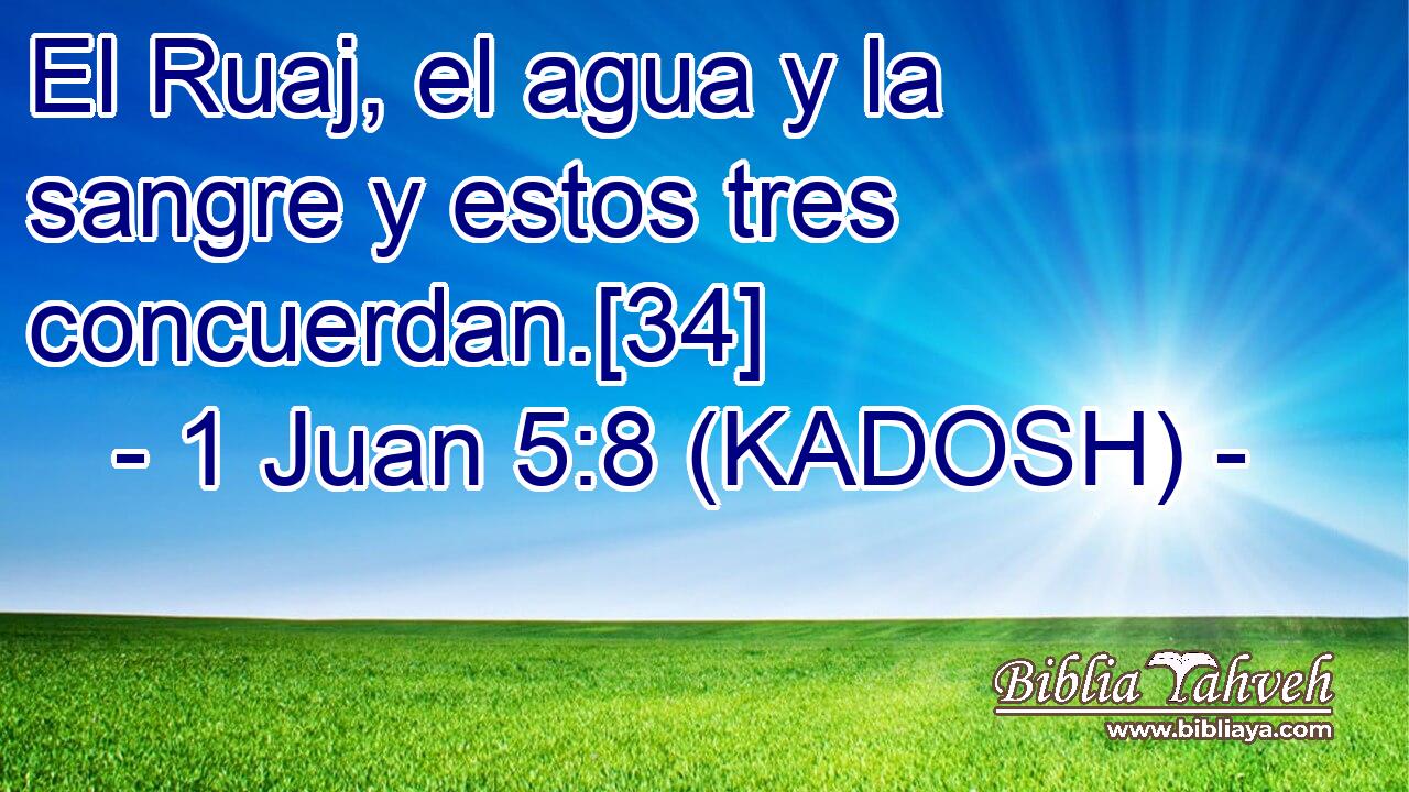  El Ruaj, el agua y la sangre y estos tres concuerdan.[34] 