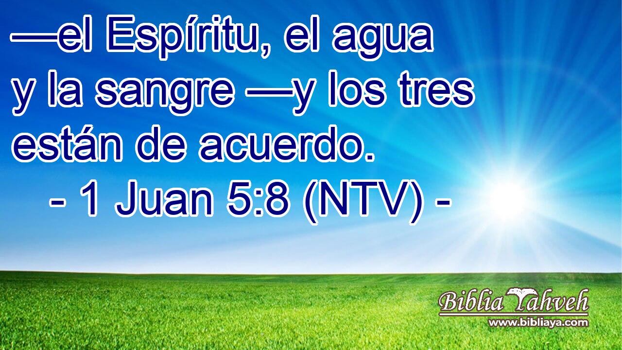 —el Espíritu, el agua y la sangre —y los tres están de acuerdo.