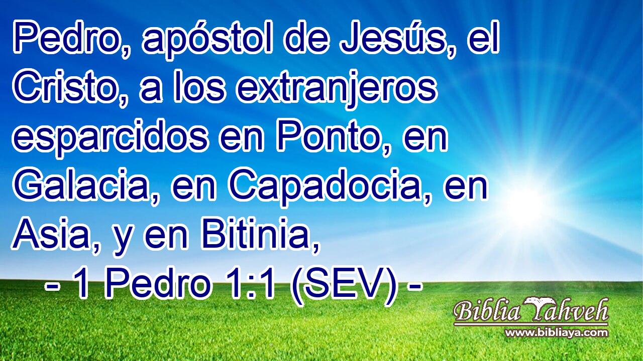 Pedro, apóstol de Jesús, el Cristo, a los extranjeros esparcidos en Ponto, en Galacia, en Capadocia, en Asia, y en Bitinia,