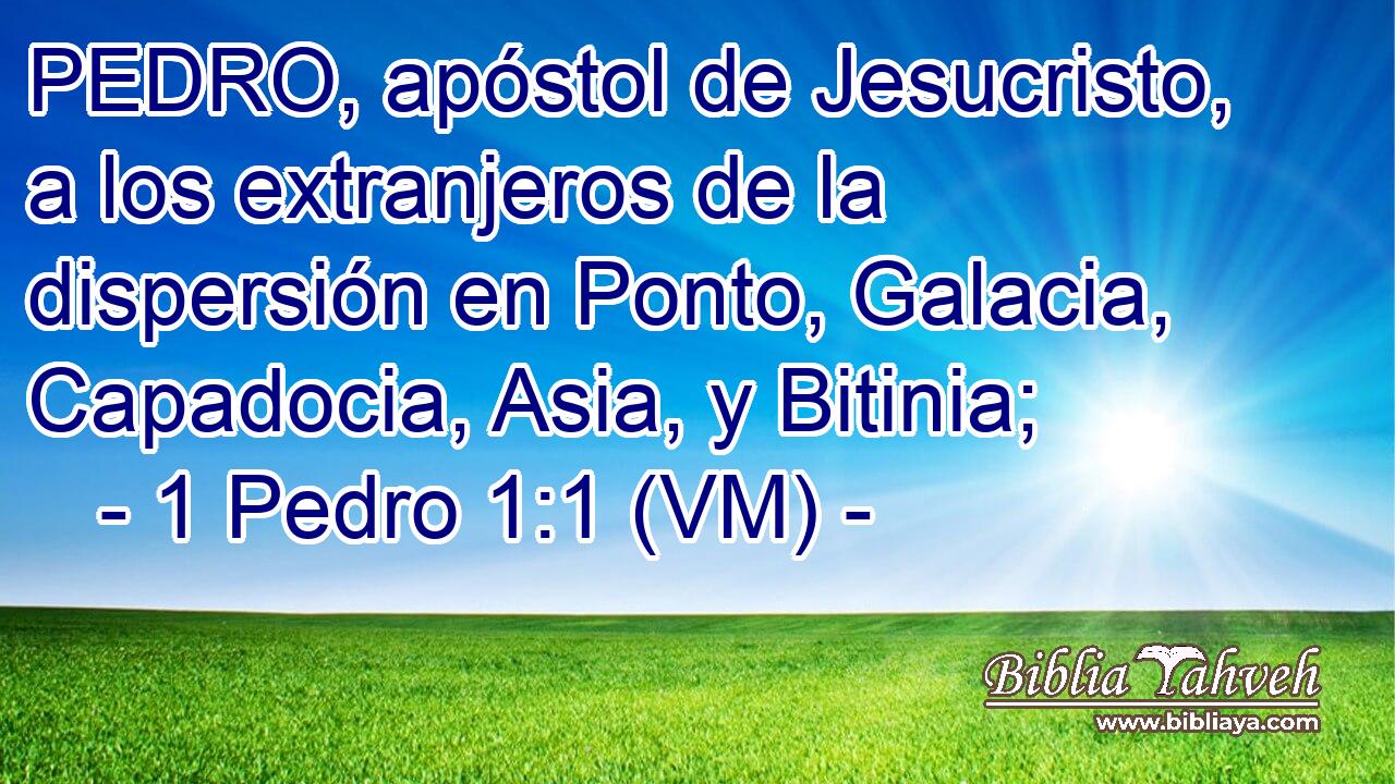  PEDRO, apóstol de Jesucristo, a los extranjeros de la dispersión en Ponto, Galacia, Capadocia, Asia, y Bitinia; 