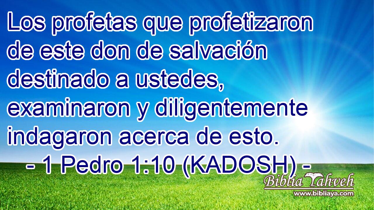  Los profetas que profetizaron de este don de salvación destinado a ustedes, examinaron y diligentemente indagaron acerca de esto. 