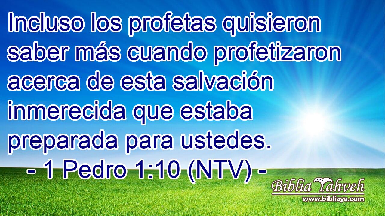 Incluso los profetas quisieron saber más cuando profetizaron acerca de esta salvación inmerecida que estaba preparada para ustedes.