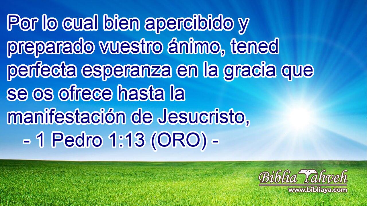  Por lo cual bien apercibido y preparado vuestro ánimo, tened perfecta esperanza en la gracia que se os ofrece hasta la manifestación de Jesucristo, 