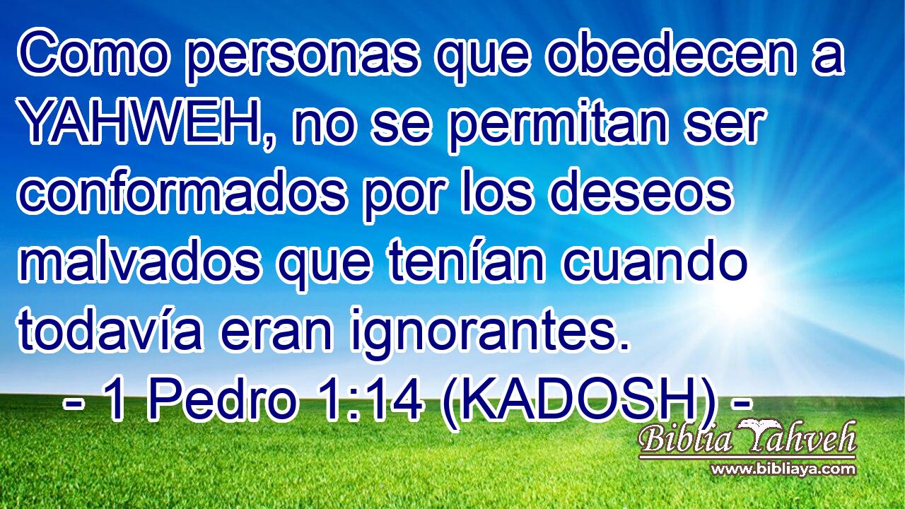  Como personas que obedecen a YAHWEH, no se permitan ser conformados por los deseos malvados que tenían cuando todavía eran ignorantes. 