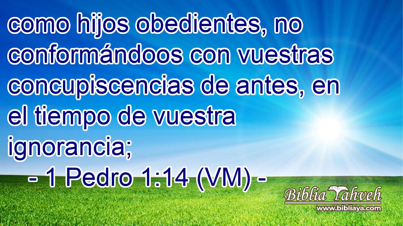  como hijos obedientes, no conformándoos con vuestras concupiscencias de antes, en el tiempo de vuestra ignorancia; 