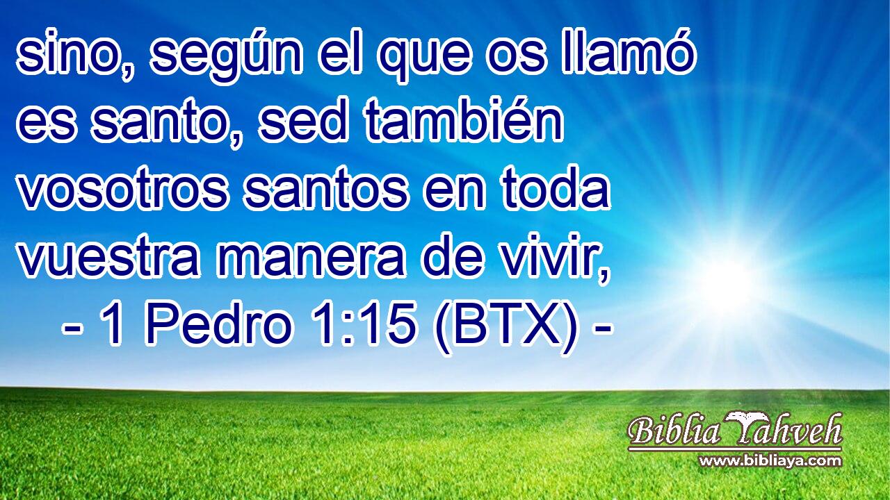 sino, según el que os llamó es santo, sed también vosotros santos en toda vuestra manera de vivir,