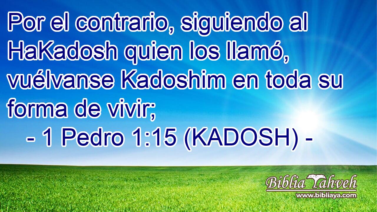  Por el contrario, siguiendo al HaKadosh quien los llamó, vuélvanse Kadoshim en toda su forma de vivir; 