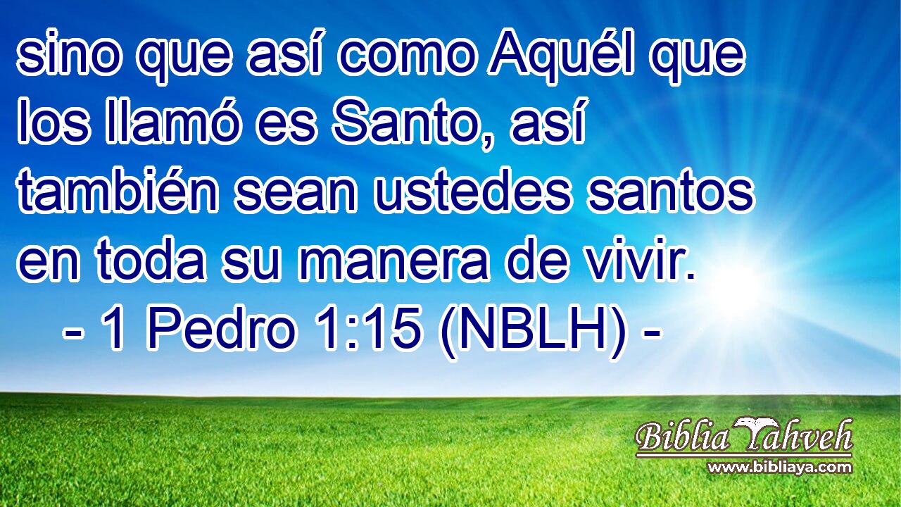  sino que así como Aquél que los llamó es Santo, así también sean ustedes santos en toda su manera de vivir. 