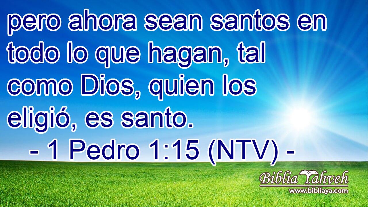 pero ahora sean santos en todo lo que hagan, tal como Dios, quien los eligió, es santo.