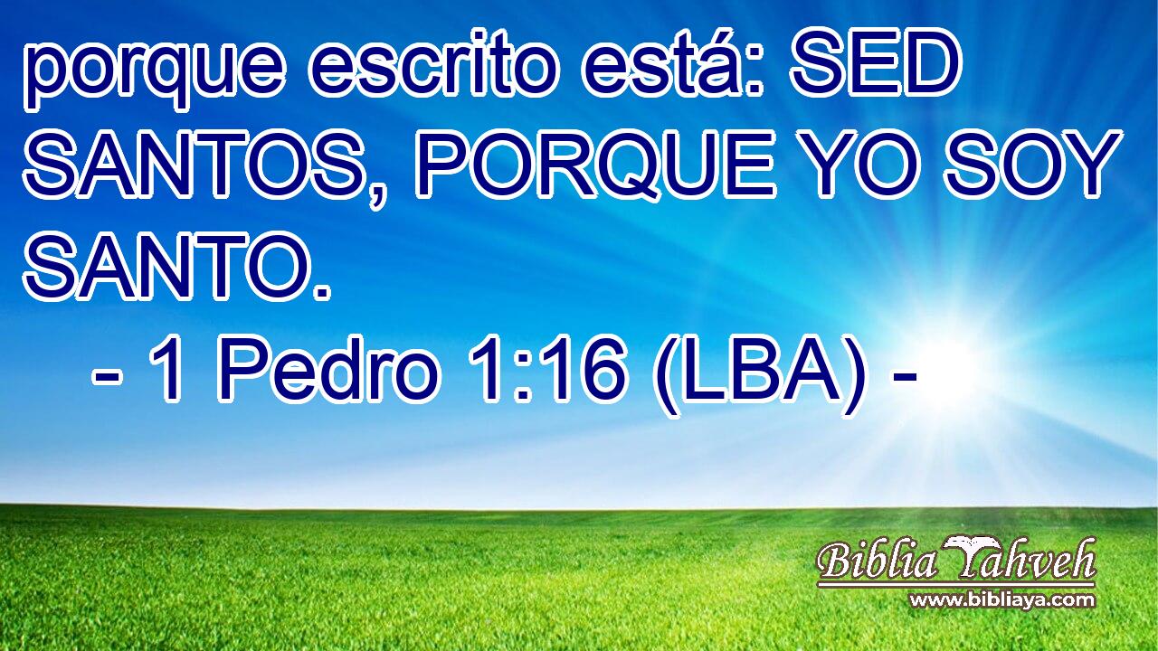 porque escrito está: SED SANTOS, PORQUE YO SOY SANTO.