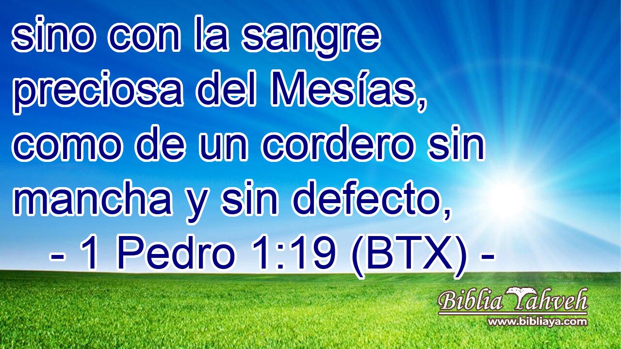 sino con la sangre preciosa del Mesías, como de un cordero sin mancha y sin defecto,