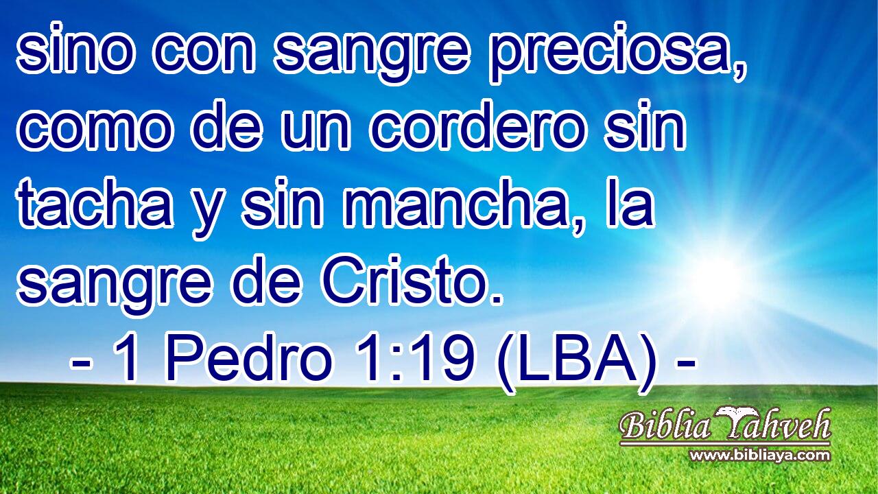 sino con sangre preciosa, como de un cordero sin tacha y sin mancha, la sangre de Cristo.