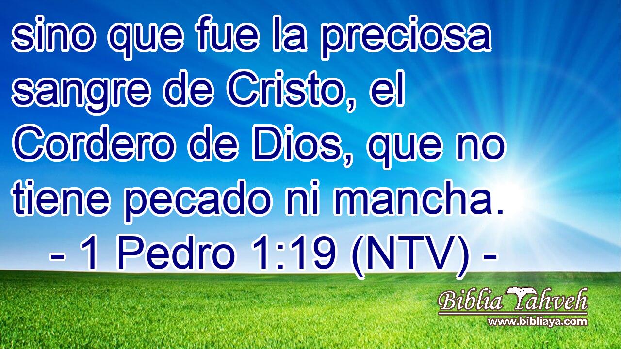 sino que fue la preciosa sangre de Cristo, el Cordero de Dios, que no tiene pecado ni mancha.