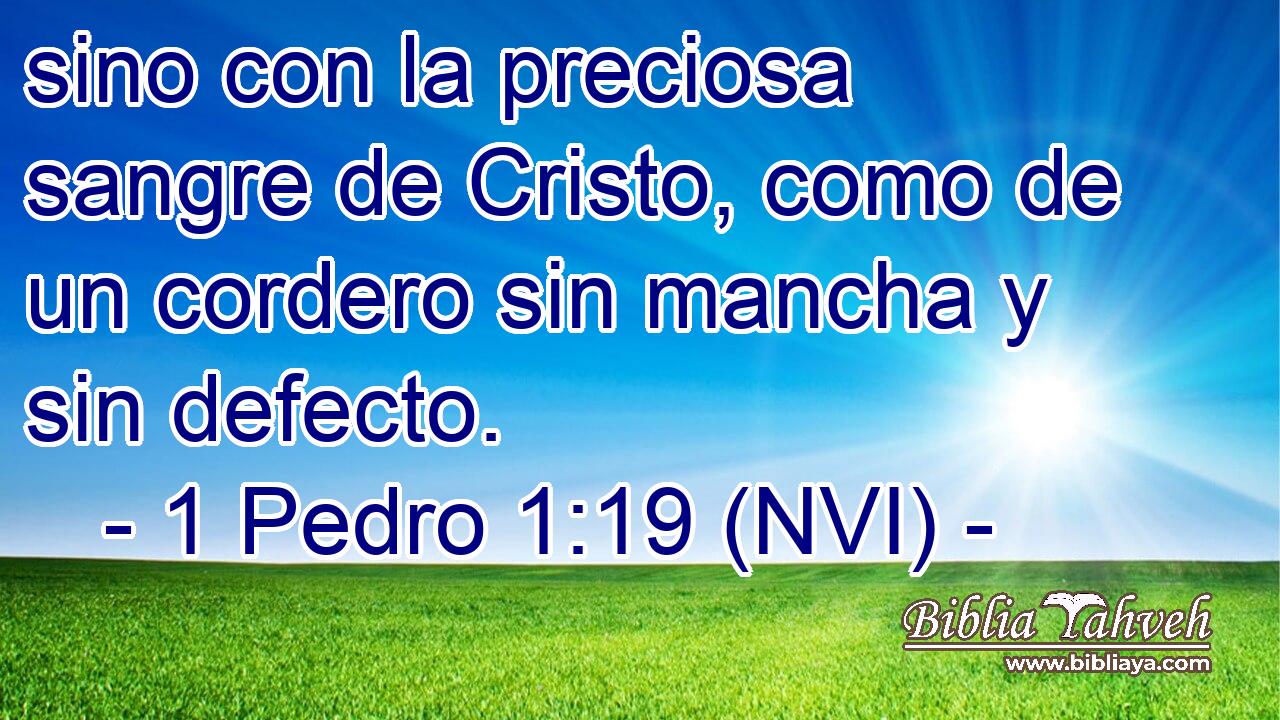  sino con la preciosa sangre de Cristo, como de un cordero sin mancha y sin defecto. 