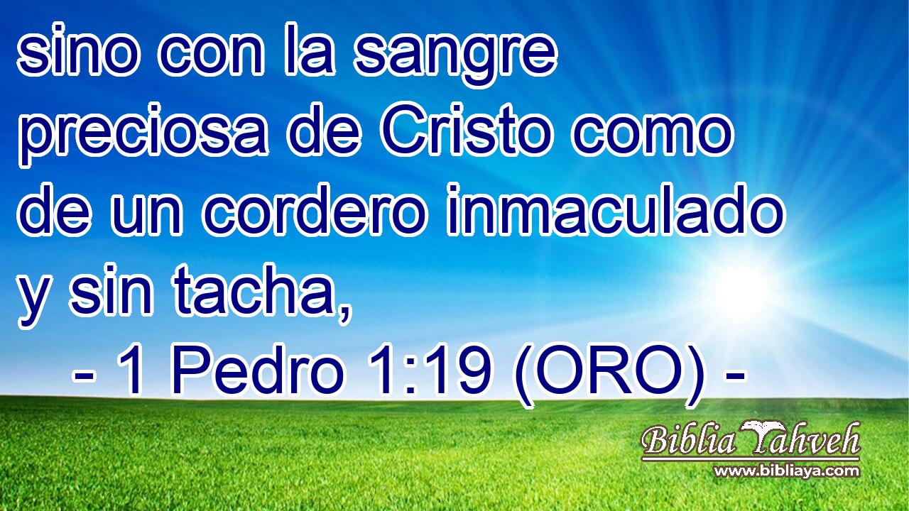  sino con la sangre preciosa de Cristo como de un cordero inmaculado y sin tacha, 