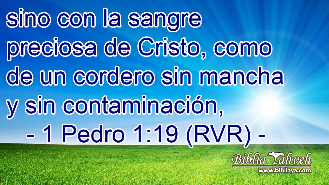 sino con la sangre preciosa de Cristo, como de un cordero sin mancha y sin contaminación,