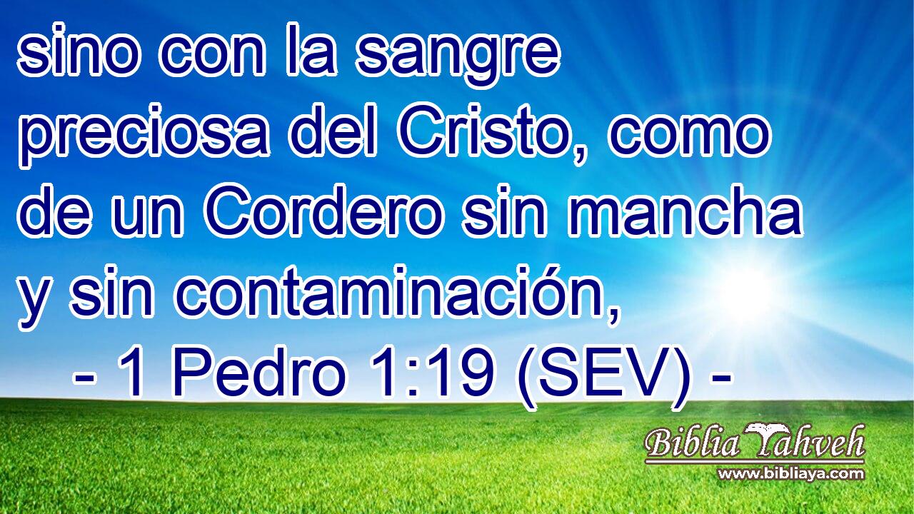sino con la sangre preciosa del Cristo, como de un Cordero sin mancha y sin contaminación,
