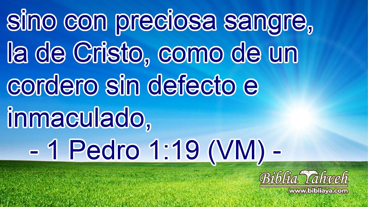  sino con preciosa sangre, la de Cristo, como de un cordero sin defecto e inmaculado, 
