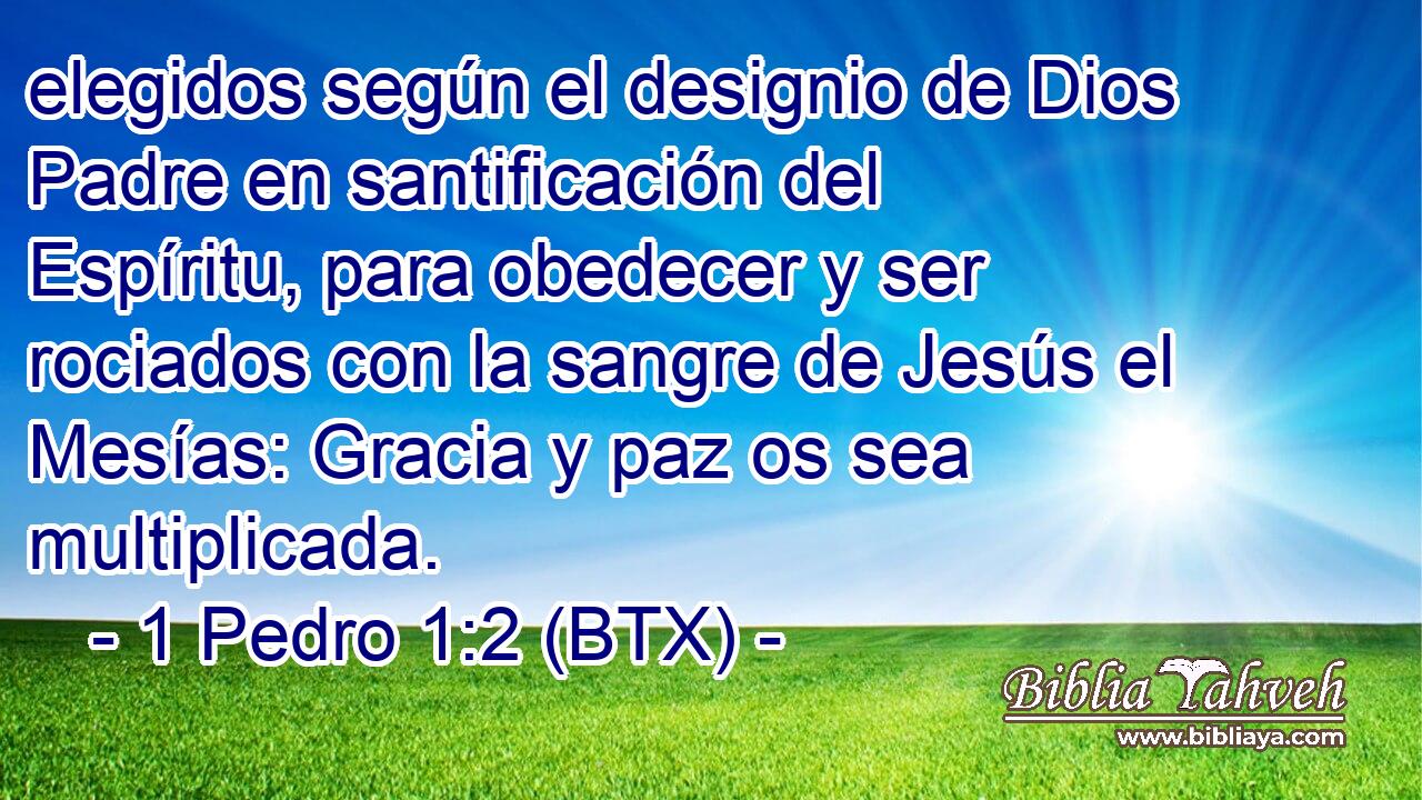 1 Pedro 1:2 (BTX) - elegidos según el designio de Dios Padre en sa...