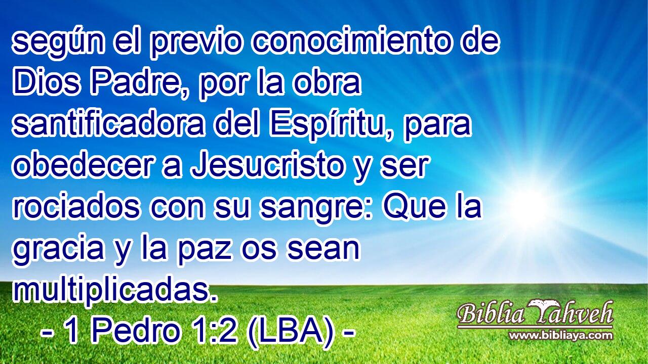 según el previo conocimiento de Dios Padre, por la obra santificadora del Espíritu, para obedecer a Jesucristo y ser rociados con su sangre: Que la gracia y la paz os sean multiplicadas.
