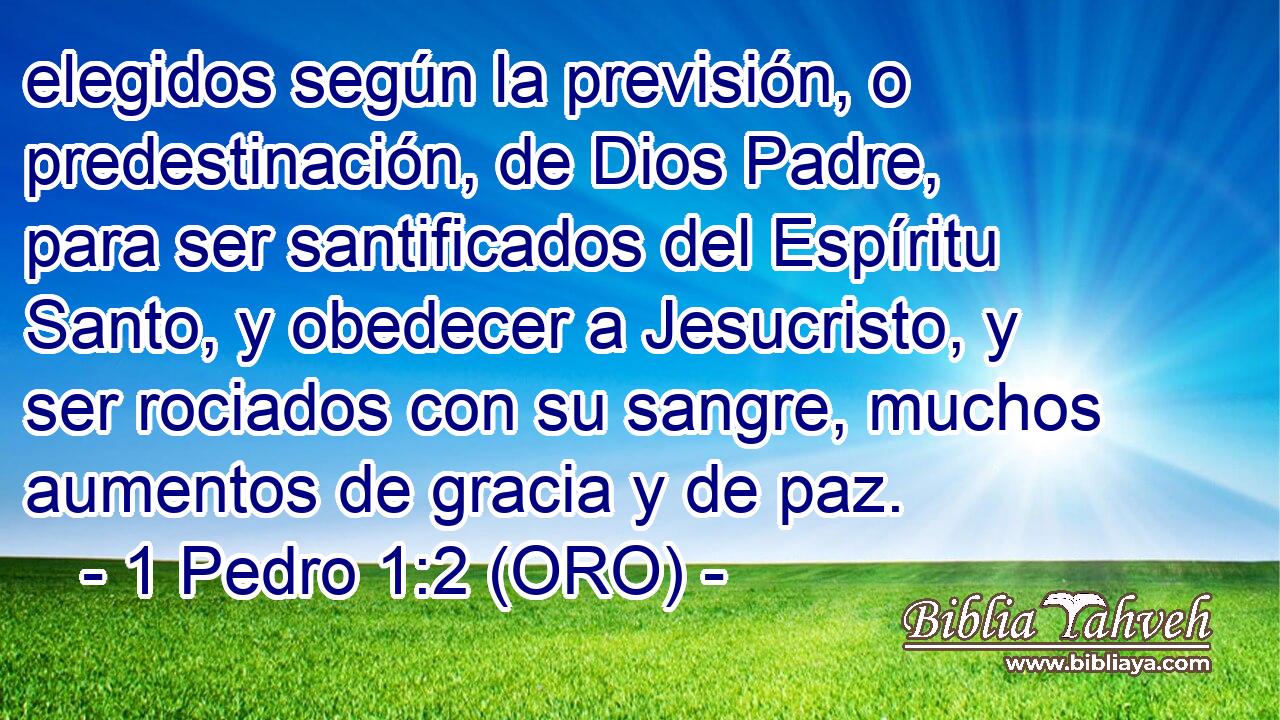  elegidos según la previsión, o predestinación, de Dios Padre, para ser santificados del Espíritu Santo, y obedecer a Jesucristo, y ser rociados con su sangre, muchos aumentos de gracia y de paz. 