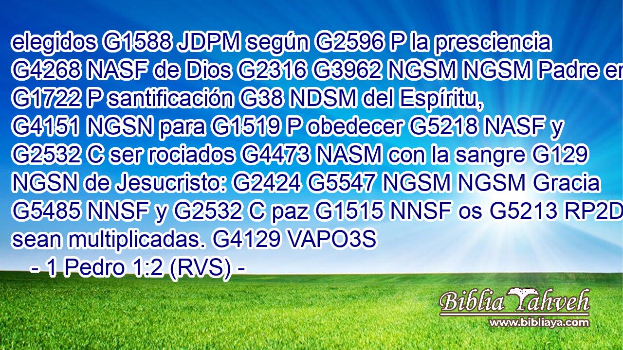 elegidos G1588 JDPM según G2596 P la presciencia G4268 NASF de Dios G2316 G3962 NGSM NGSM Padre en G1722 P santificación G38 NDSM del Espíritu, G4151 NGSN para G1519 P obedecer G5218 NASF y G2532 C ser rociados G4473 NASM con la sangre G129 NGSN de Jesucristo: G2424 G5547 NGSM NGSM Gracia G5485 NNSF y G2532 C paz G1515 NNSF os G5213 RP2DP sean multiplicadas. G4129 VAPO3S 