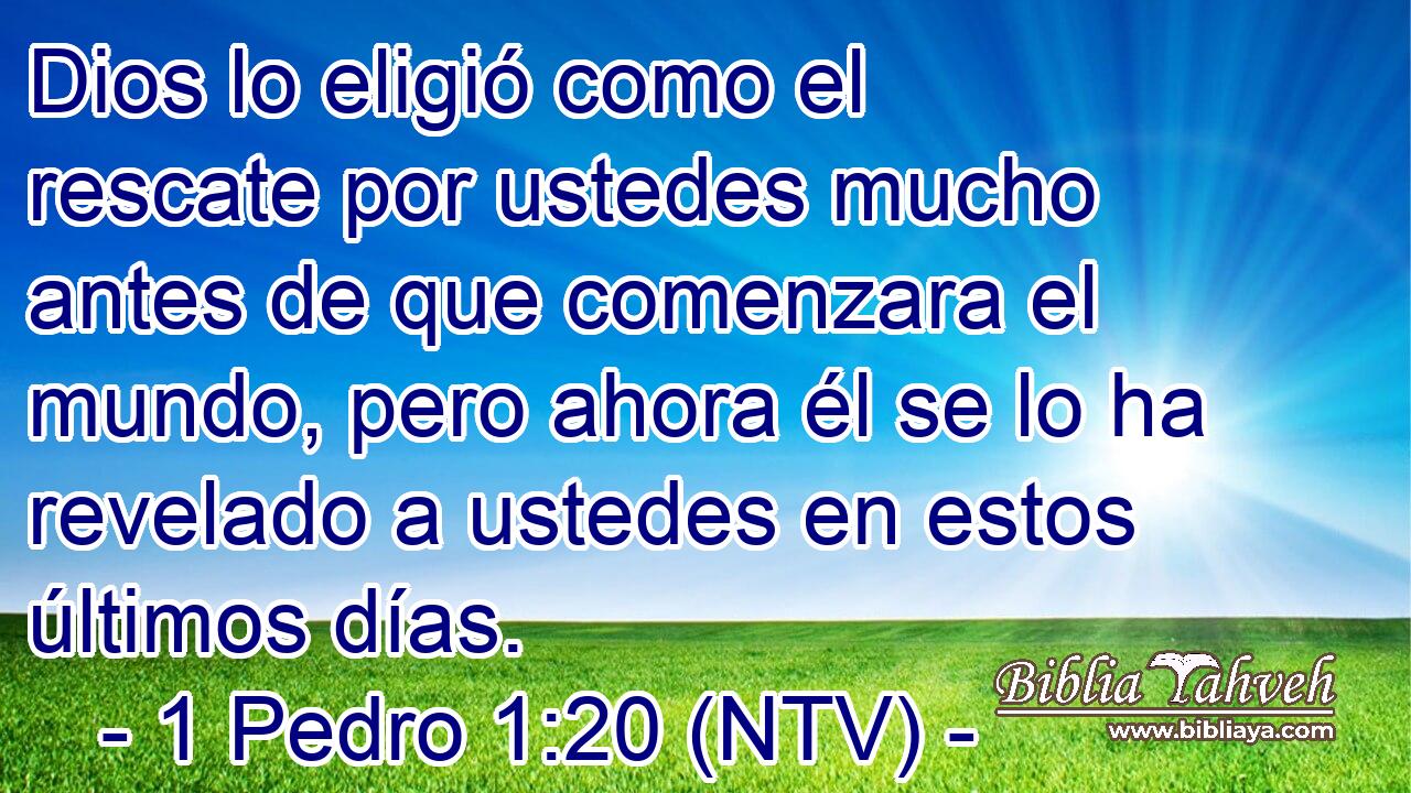 Dios lo eligió como el rescate por ustedes mucho antes de que comenzara el mundo, pero ahora él se lo ha revelado a ustedes en estos últimos días.
