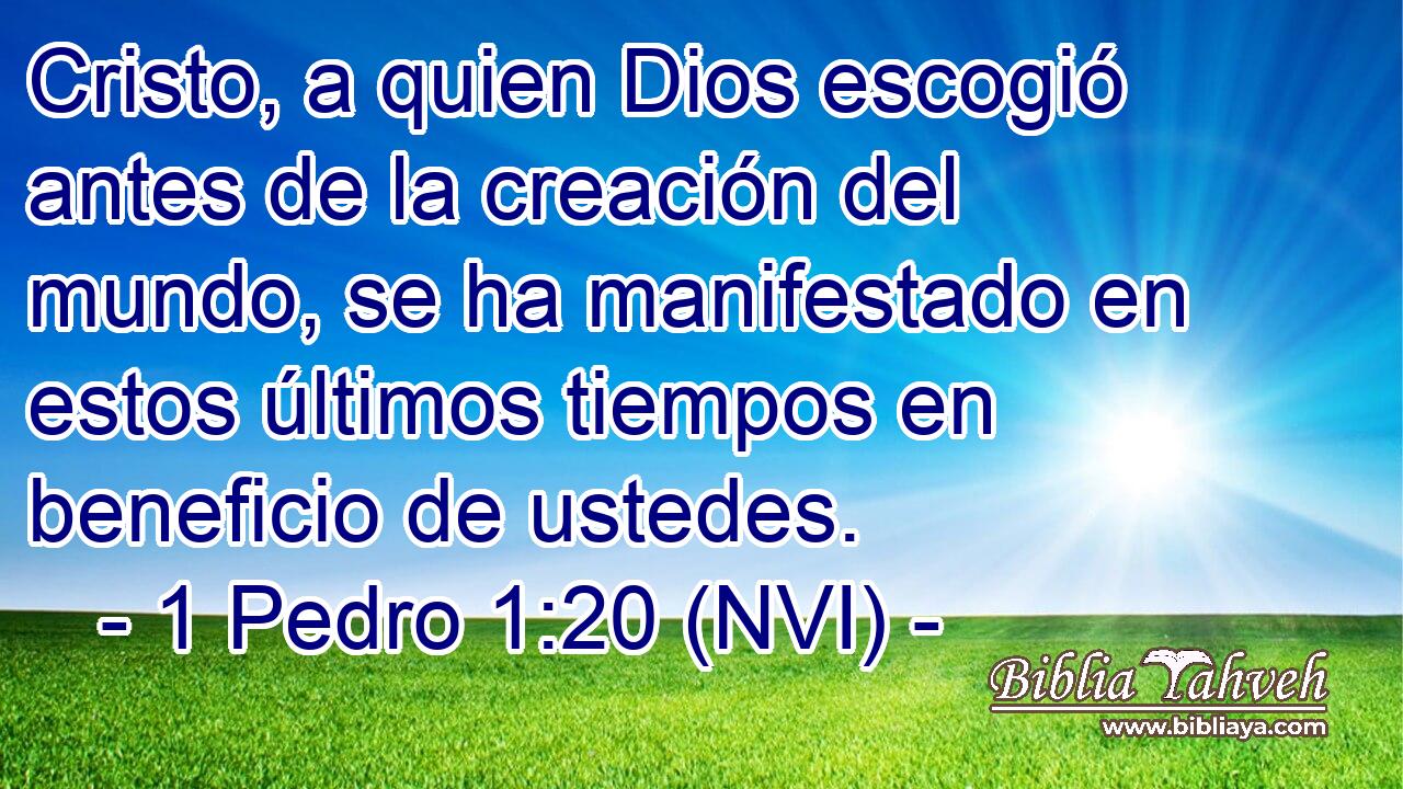  Cristo, a quien Dios escogió antes de la creación del mundo, se ha manifestado en estos últimos tiempos en beneficio de ustedes. 