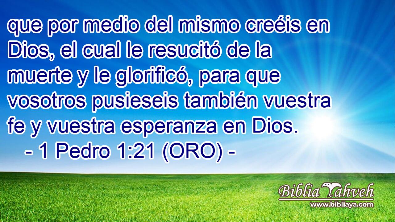  que por medio del mismo creéis en Dios, el cual le resucitó de la muerte y le glorificó, para que vosotros pusieseis también vuestra fe y vuestra esperanza en Dios. 
