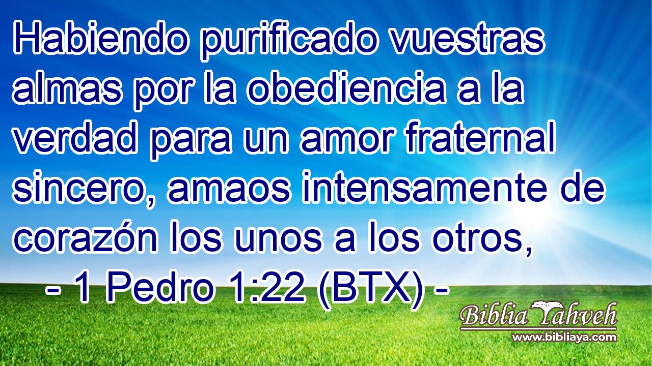 Habiendo purificado vuestras almas por la obediencia a la verdad para un amor fraternal sincero, amaos intensamente de corazón los unos a los otros,