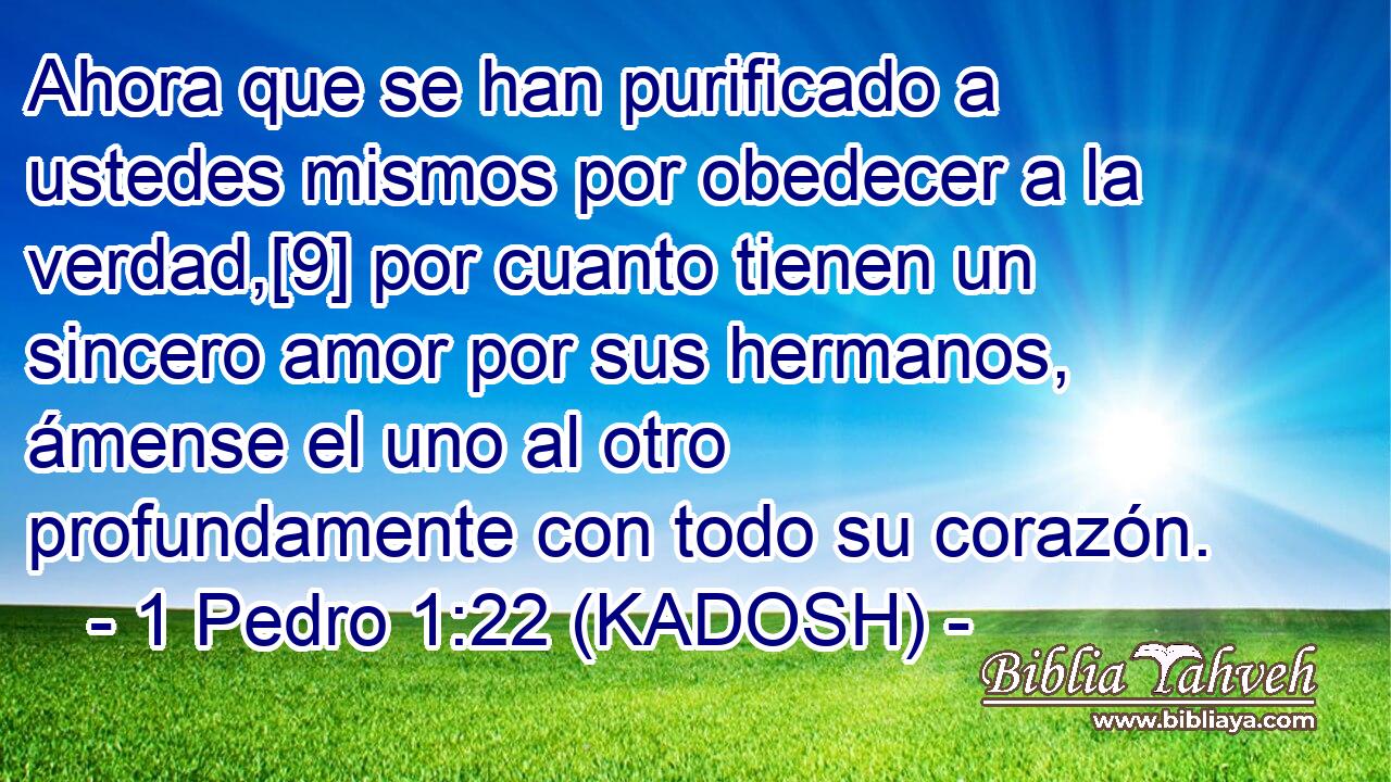  Ahora que se han purificado a ustedes mismos por obedecer a la verdad,[9] por cuanto tienen un sincero amor por sus hermanos, ámense el uno al otro profundamente con todo su corazón. 