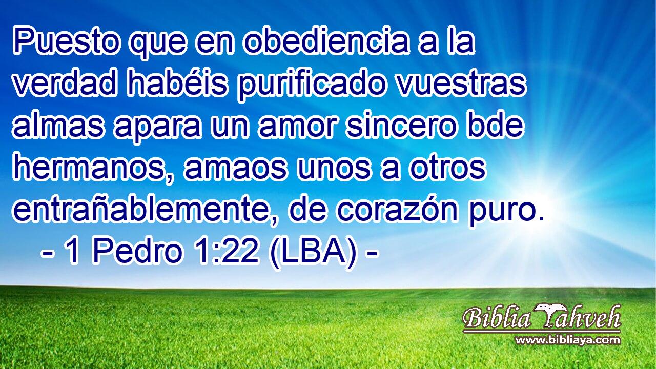 Puesto que en obediencia a la verdad habéis purificado vuestras almas apara un amor sincero bde hermanos, amaos unos a otros entrañablemente, de corazón puro.