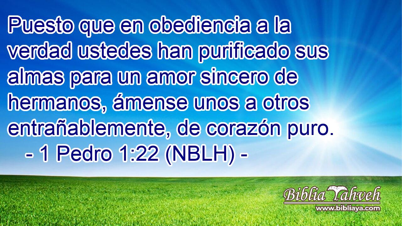  Puesto que en obediencia a la verdad ustedes han purificado sus almas para un amor sincero de hermanos, ámense unos a otros entrañablemente, de corazón puro. 