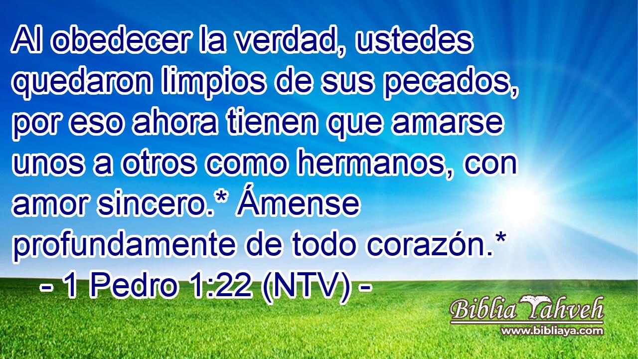 Al obedecer la verdad, ustedes quedaron limpios de sus pecados, por eso ahora tienen que amarse unos a otros como hermanos, con amor sincero.* Ámense profundamente de todo corazón.*