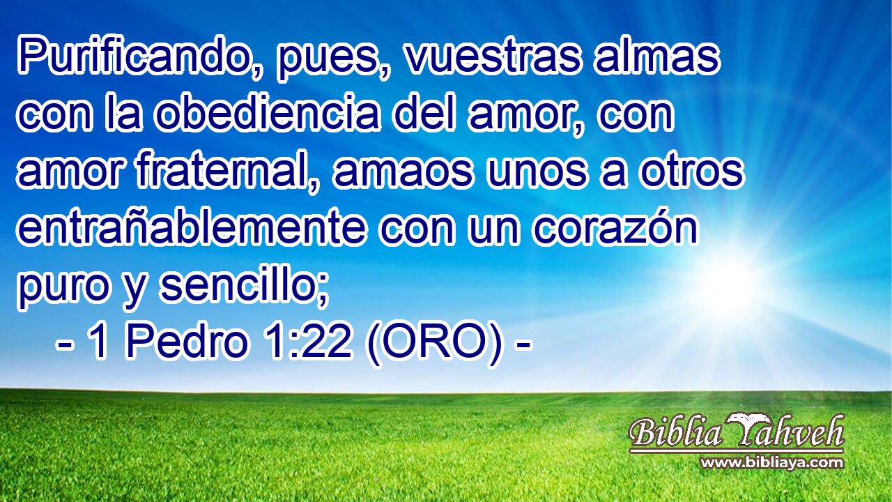  Purificando, pues, vuestras almas con la obediencia del amor, con amor fraternal, amaos unos a otros entrañablemente con un corazón puro y sencillo; 