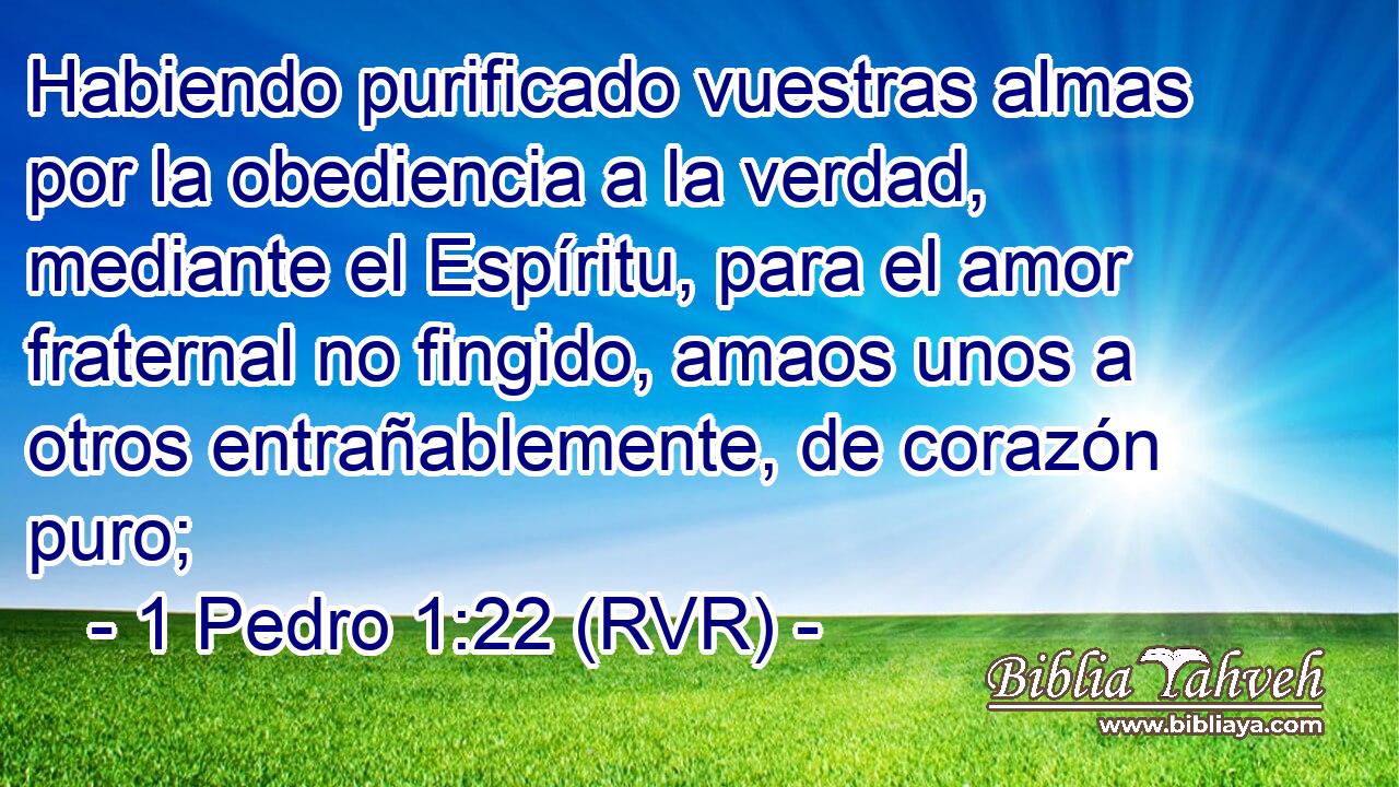 Habiendo purificado vuestras almas por la obediencia a la verdad, mediante el Espíritu, para el amor fraternal no fingido, amaos unos a otros entrañablemente, de corazón puro;