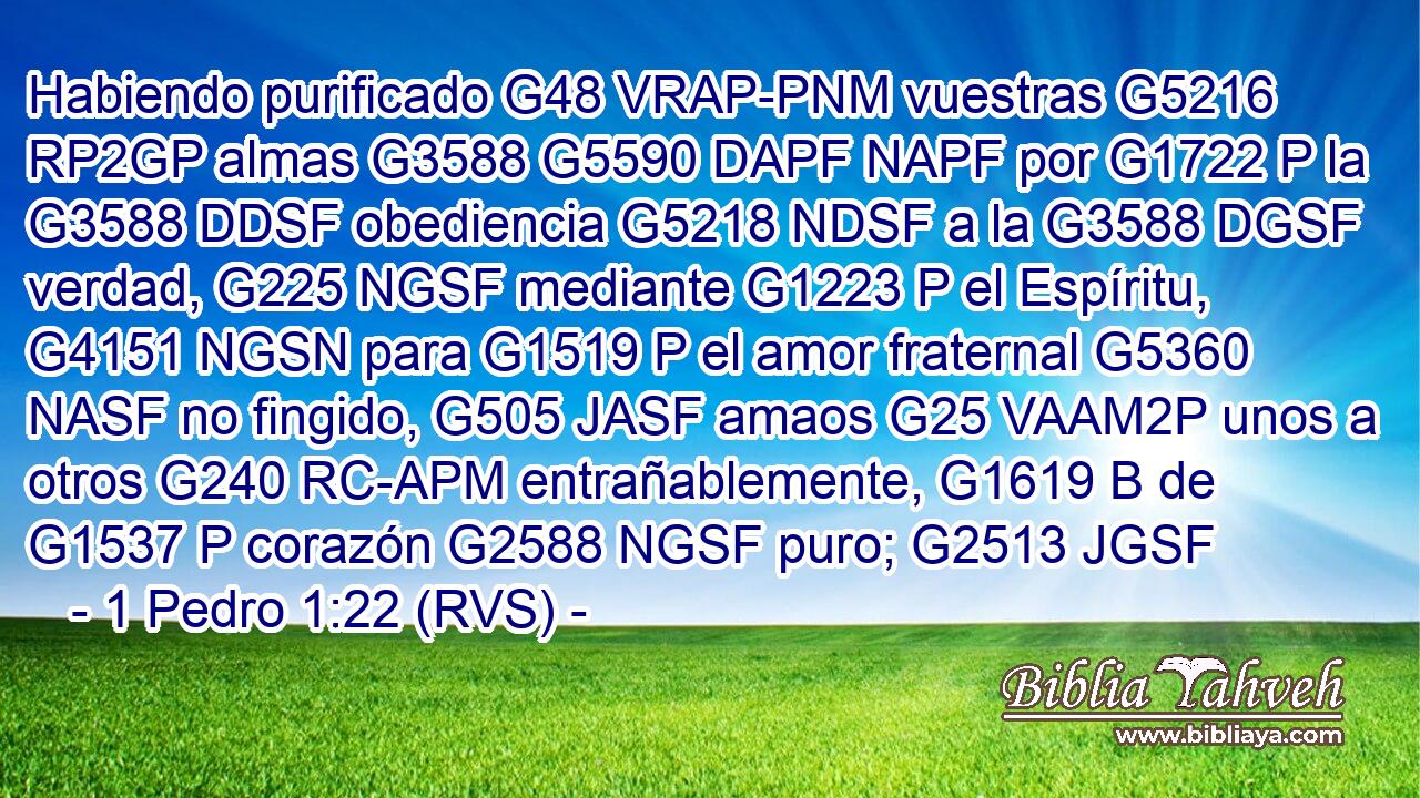 Habiendo purificado G48 VRAP-PNM vuestras G5216 RP2GP almas G3588 G5590 DAPF NAPF por G1722 P la G3588 DDSF obediencia G5218 NDSF a la G3588 DGSF verdad, G225 NGSF mediante G1223 P el Espíritu, G4151 NGSN para G1519 P el amor fraternal G5360 NASF no fingido, G505 JASF amaos G25 VAAM2P unos a otros G240 RC-APM entrañablemente, G1619 B de G1537 P corazón G2588 NGSF puro; G2513 JGSF 