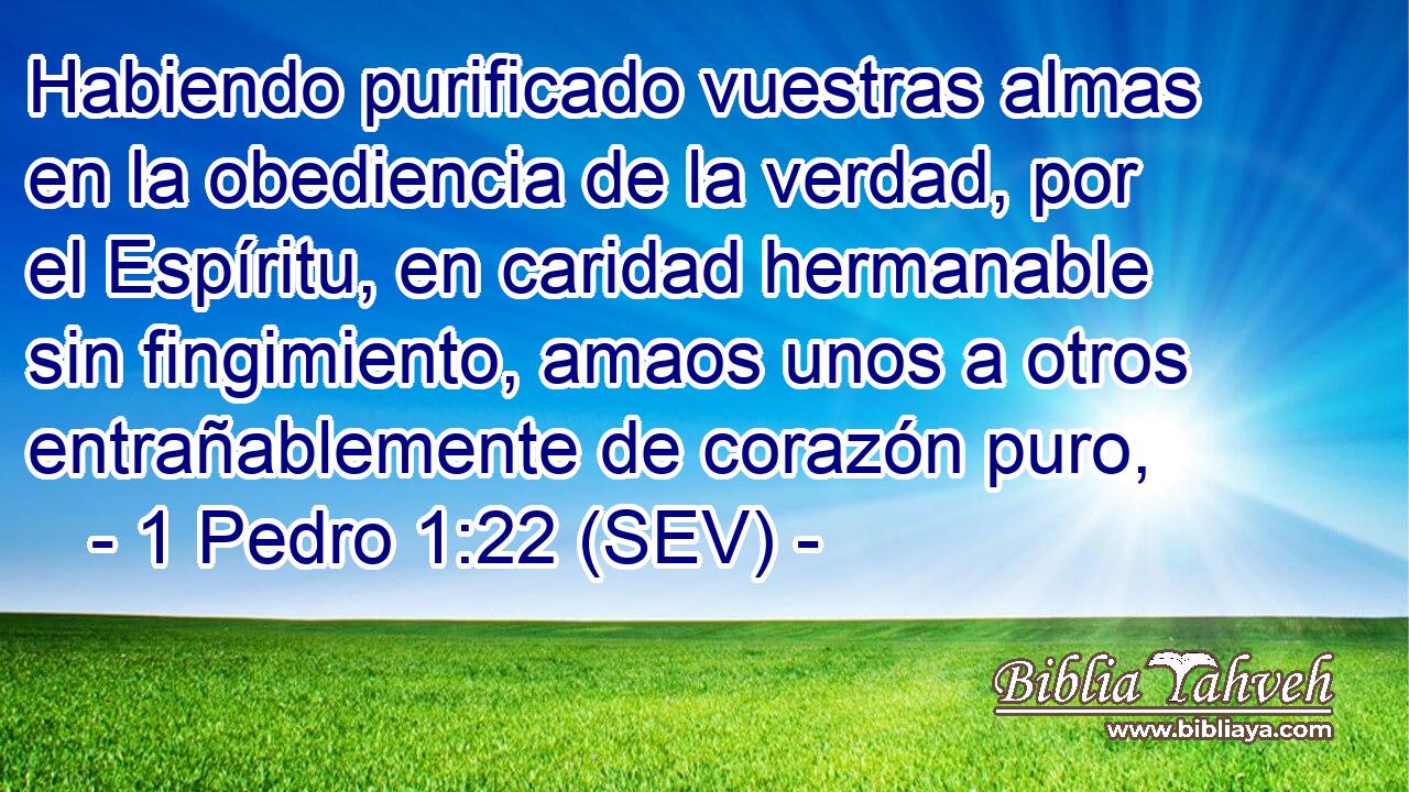 Habiendo purificado vuestras almas en la obediencia de la verdad, por el Espíritu, en caridad hermanable sin fingimiento, amaos unos a otros entrañablemente de corazón puro,
