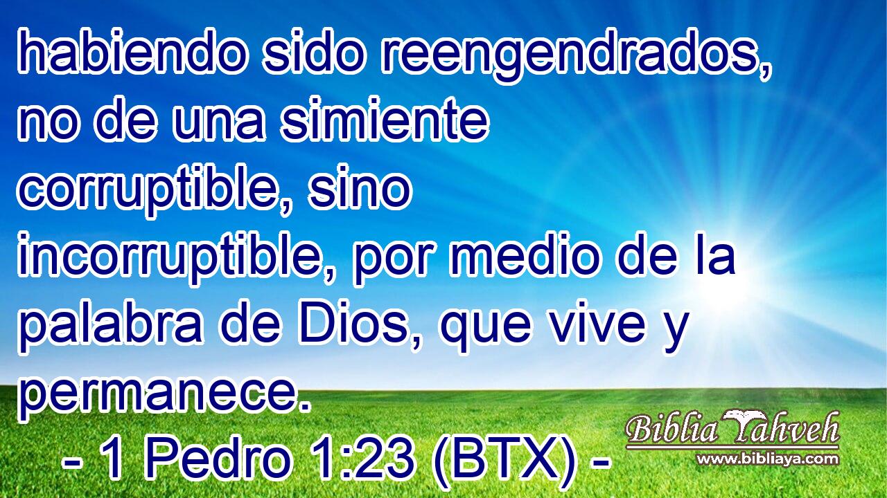 habiendo sido reengendrados, no de una simiente corruptible, sino incorruptible, por medio de la palabra de Dios, que vive y permanece.